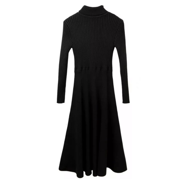 🌺 The Aryann Knit Fit & Flare Turtleneck Dress - Picture 5 of 7